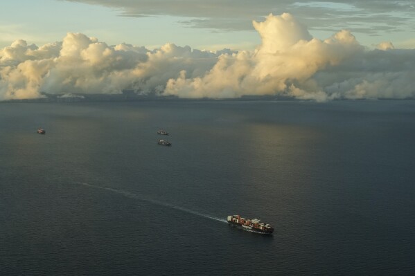 国际航运监管机构负责人表示，航运业必须采取更多措施减少碳污染