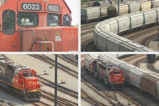 面对北京顺丰兼职员工确诊新冠,如何保持冷静并采取有效防护措施