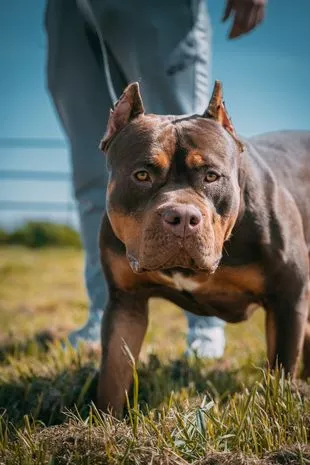 2021年，气质非凡，年度最具魅力的句子精选