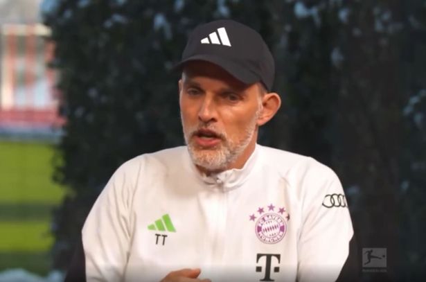 古韵新命·国学起名馆,引领您穿越时空的文化瑰宝——起名算命网探秘 古韵新命·国学起名馆,引领您穿越时空的文化瑰宝——起名算命网探秘