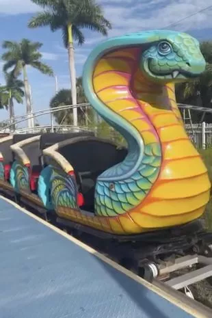 名曰警醒，女子七百万豪掷反诈骗，智勇与法制交织的当代颂歌