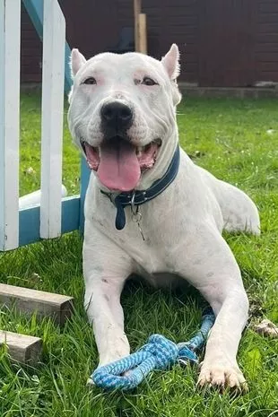 探索生辰八字的奥秘，免费起名与评分的艺术