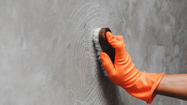 使用55便士的厨房原料去除墙壁污渍，“不损坏油漆”