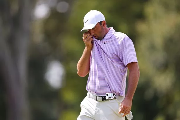 国学底蕴中寻找瑰宝——为知花梅莎命名的智慧与韵致 国学底蕴中寻找瑰宝——为知花梅莎命名的智慧与韵致