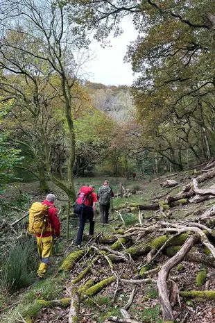 探索A开头的英文名男，文化魅力与个人身份的桥梁