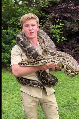 屋顶小解的道德与法律考量——以木工事件为镜,探析社会公序良俗与劳动权益 屋顶小解的道德与法律考量——以木工事件为镜,探析社会公序良俗与劳动权益