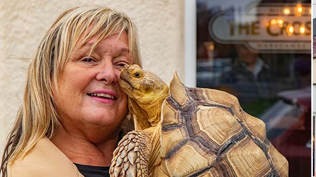 “我那只三英石的大乌龟走到哪里都跟着我,甚至连酒吧都跟着我。”