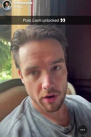 利亚姆·佩恩“死前服用了致幻药水晶”导致精神疾病发作