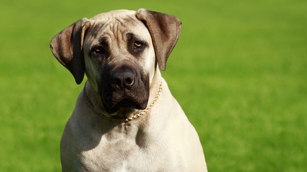 探索姓名配对的奥秘，三藏法的实用指南