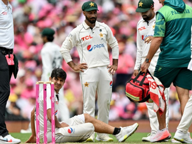 理解数据,上海新增死亡39例背后的信息与应对措施 理解数据,上海新增死亡39例背后的信息与应对措施