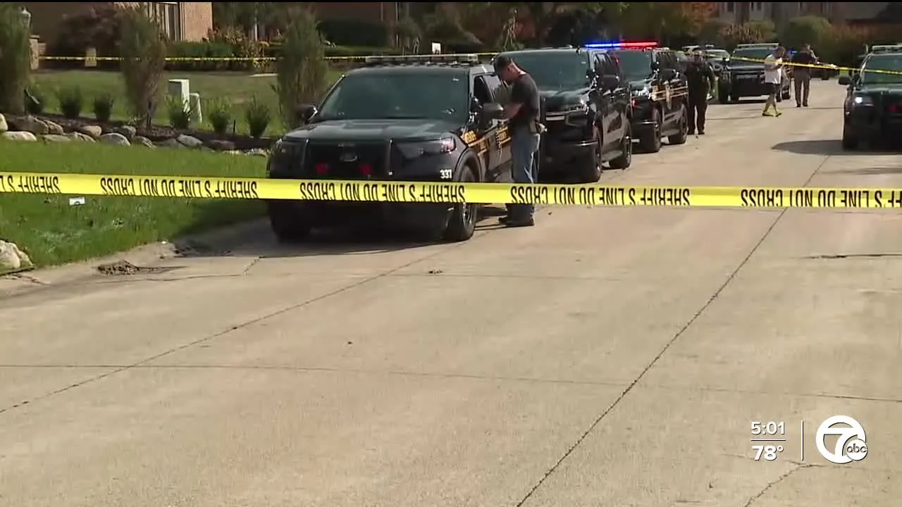 小红书昵称ins小众，打造独特个人品牌的艺术