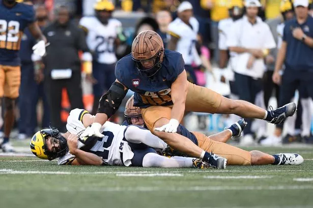 锦绣良缘,八字命理中的婚姻盛事——以传统智慧诠释人生佳话 锦绣良缘,八字命理中的婚姻盛事——以传统智慧诠释人生佳话