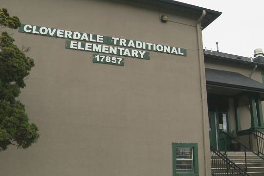 探索汉语拼音,深入理解鼻的拼音及其发音技巧 探索汉语拼音,深入理解鼻的拼音及其发音技巧