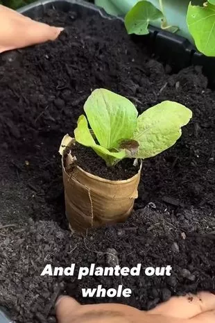 王楚钦横扫张本智和夺冠,一场乒乓球盛宴的启示