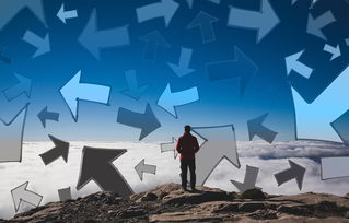 麻雀乱影,公安局长的权力迷局 麻雀乱影,公安局长的权力迷局