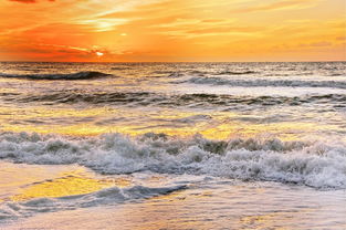 虎啸岁月·生肖典藏——探寻庚寅年的人生华章 虎啸岁月·生肖典藏——探寻庚寅年的人生华章