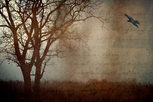 墨染流年，弥留之际的际字之深邃解析与起名艺术