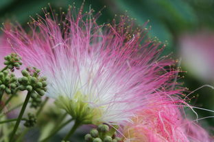 墨染心香——以沁人心脾为名,探寻中国传统文化的深层魅力 墨染心香——以沁人心脾为名,探寻中国传统文化的深层魅力