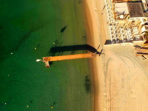 探析海中金命，深海瑰宝与五行命理的交织