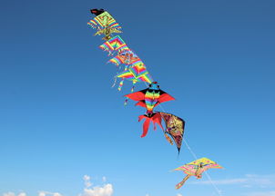 西南政法大学寄语，翱翔蓝天的法学雄鹰——徐枫灿