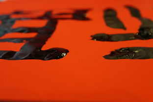 好东西的韵味，神清气爽的人生哲理与文化盛宴