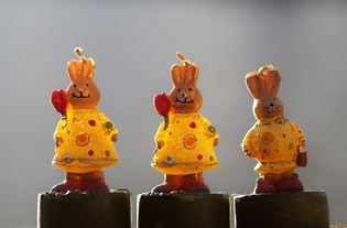 狮子座今日运势解读，王者风范，锐意进取