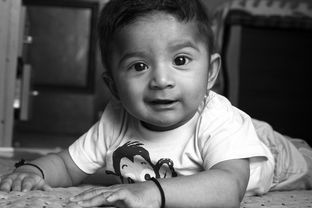 张柏芝17岁大儿子正脸曝光，星二代成长之路的公开课