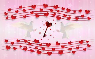 属狗的你，今年的运势与成长指南——年龄不是束缚，智慧才是关键