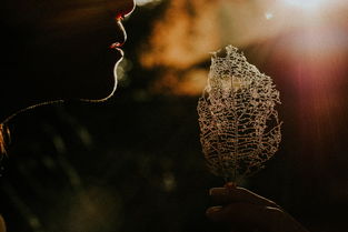 70后的歌声，岁月的旋律，时代的记忆——追忆那个时代的音乐烙印