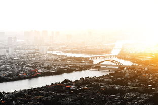 哈尔滨平房区疫情,防控措施与居民生活指南 哈尔滨平房区疫情,防控措施与居民生活指南