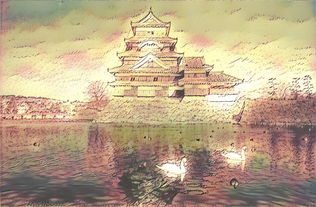 探索魅力世界,打造传奇般名字的艺术与智慧