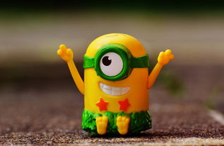 揭秘2010,鼠年生肖背后的智慧与机遇