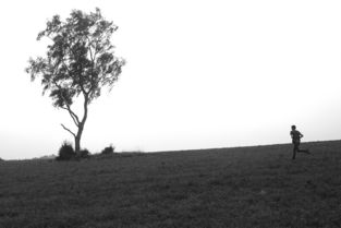 探索诗意的韵味，那些让人心醉神迷的诗句