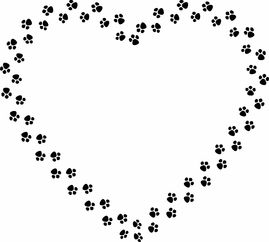 爱在字里行间,如何用名字编织甜蜜的情侣网名