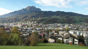 深入解析，31省区市新增确诊21例，本土病例9例背后的疫情动态