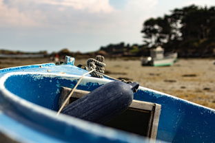 4月10日,上海疫情最新动态与防控措施解析