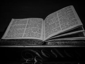 探索吴姓之美,吴姓名字大全及其文化意义