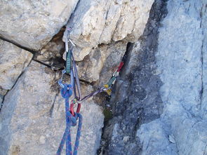 安国疫情最新动态,了解、预防与应对策略