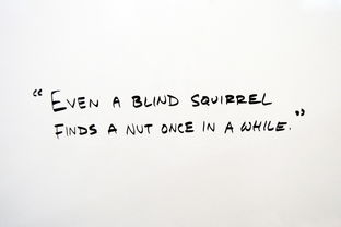 探索仙气缭绕,好听又仙气的英文名字及其背后的故事 探索仙气缭绕,好听又仙气的英文名字及其背后的故事