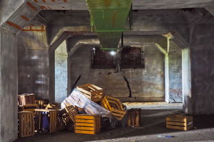 全国疫情最新报道，动态追踪与防控策略