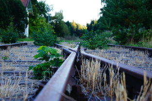 长沙疫情新动态，新增3例确诊病例活动轨迹解析与防控指南