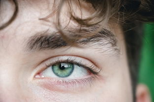 眉毛的奥秘，从拼音到面相学的深度解析