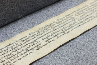 探索蹲的拼音,语言的桥梁与文化的纽带