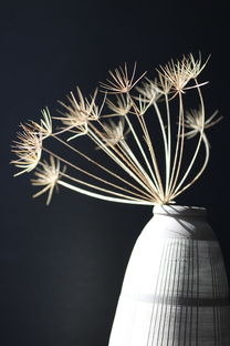 雯组词，探索汉字之美与语言的力量