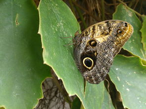 西安疫情最新动态,解封与防控并行,市民生活逐步恢复 西安疫情最新动态,解封与防控并行,市民生活逐步恢复