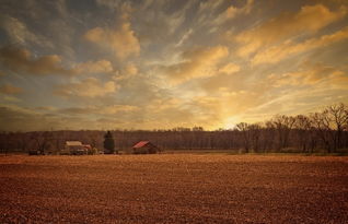 探索韵味与境界,生活艺术的深度体验