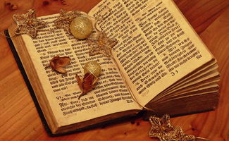 探索童心,小学语文课本中那些最有韵味的诗句