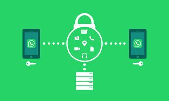 辽宁疫情新动态,新增本土确诊35例的深入解析与应对策略