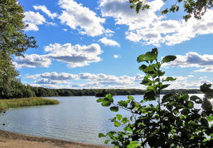 诗意生活，探索很雅的诗的艺术与魅力