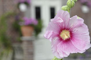 诗韵流转，简短精辟的文案之美